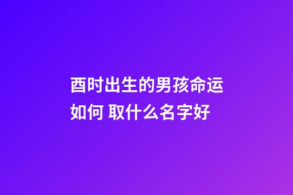 酉时出生的男孩命运如何 取什么名字好
